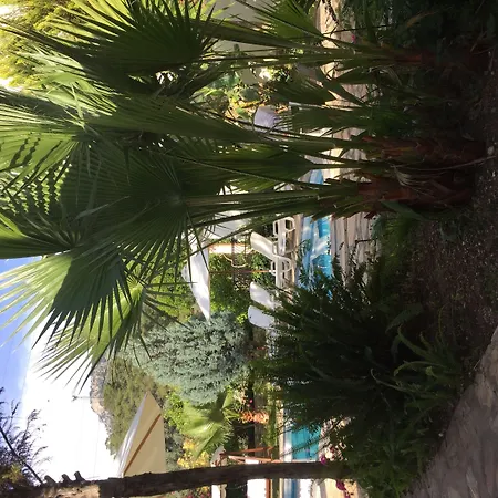 Goecek Selya Hotel 3* Gocek (Fethiye)