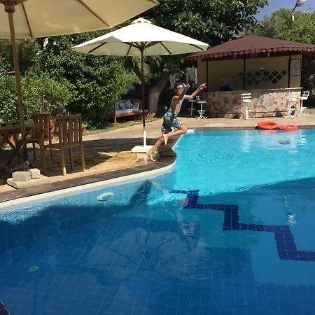 Selya غوجيك